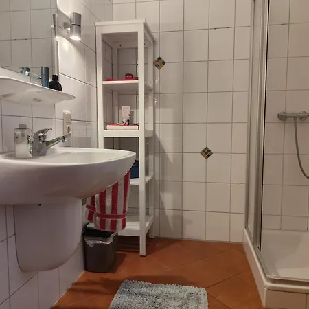 Austernfischer Дангаст